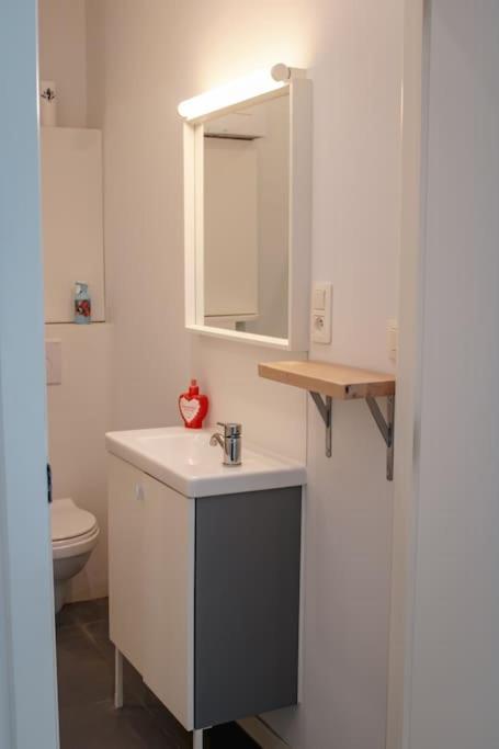 Apartment Sion *