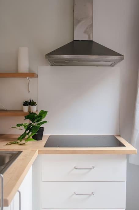 Sion Apartment *