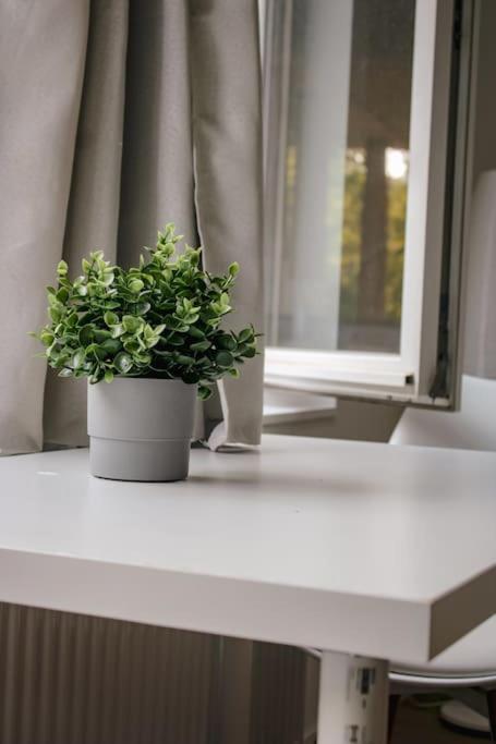 Apartment Sion *